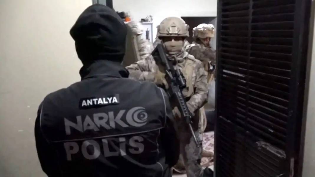 Bonzai Alarmı 2024’ün En Ölümcül Maddesi Oldu! 6